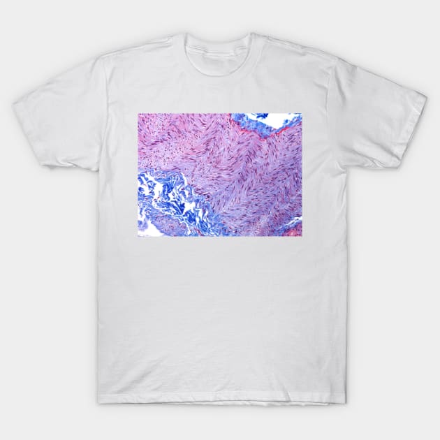 Peripheral nerve, light micrograph (C022/7315) T-Shirt by SciencePhoto